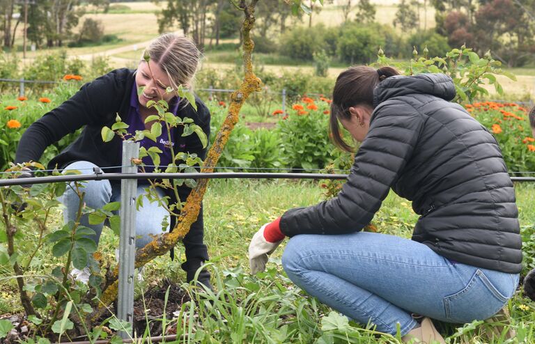 Beyond Bank staff participating in a B Corp celebration event