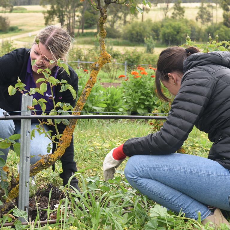 The bank behind the community.