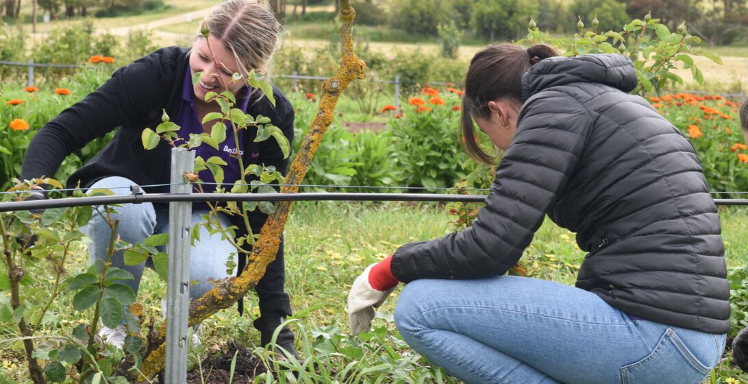 Beyond Bank staff participating in a B Corp celebration event