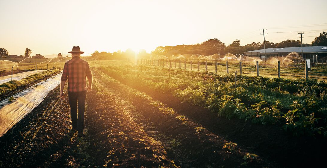 Rearview shot of a male farmer tending to his crops on the farm