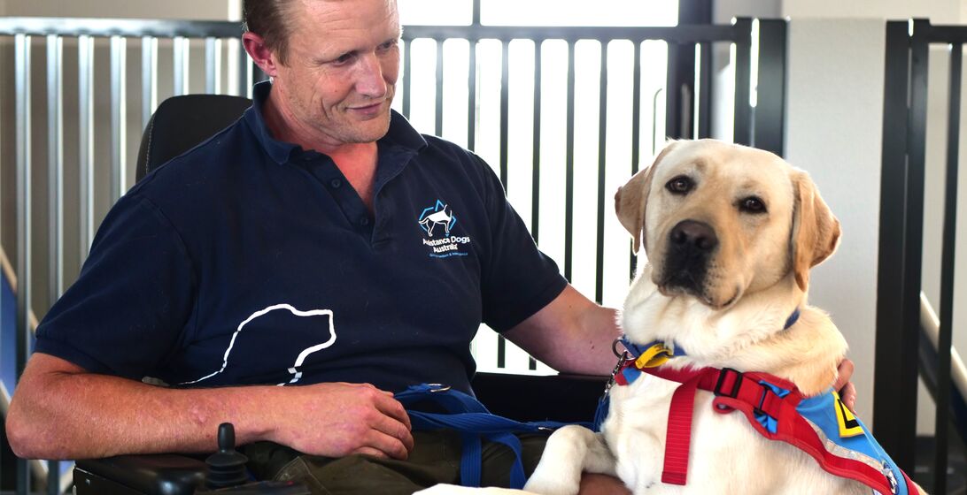 optimizely_KV_AssistanceDogsAustralia2