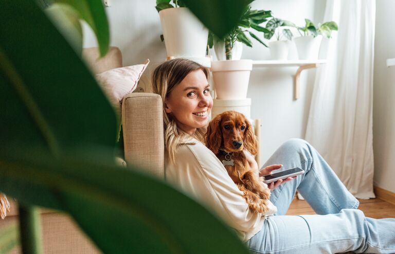 woman, dog, spaniel, red, ginger, home, plants