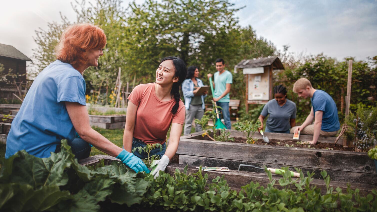 Group gardening together