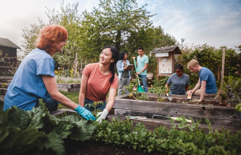 Group gardening together