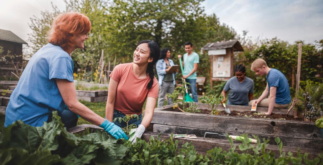 Group gardening together