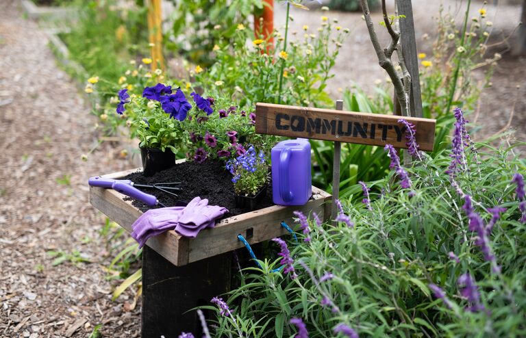 Optimizely_BI_community-gardeners-3