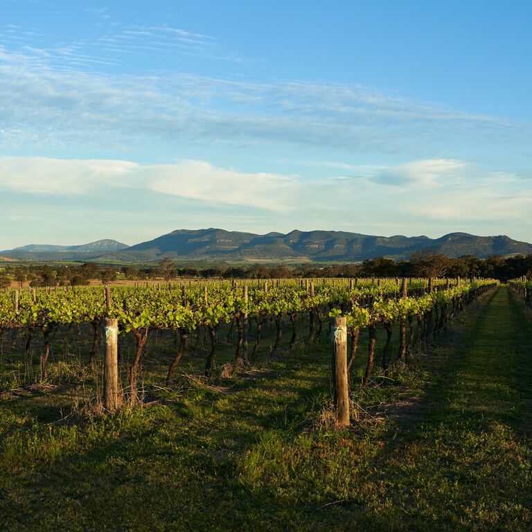 Update on the merger between Beyond Bank Australia and First Choice Credit Union.