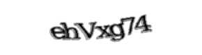 Security check image, please type the characters shown