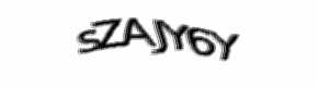 Security check image, please type the characters shown