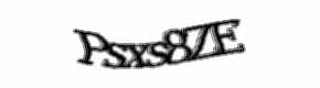Security check image, please type the characters shown