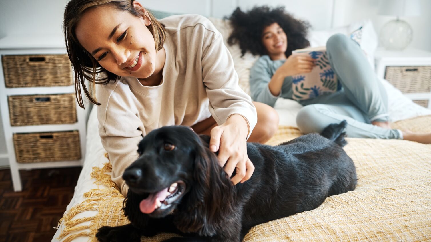 Pet, bed and happy lesbian couple play in home, morning and relax together in house. Dog, bedroom and gay women with animal, bonding and having fun in healthy relationship, lgbtq connection and care