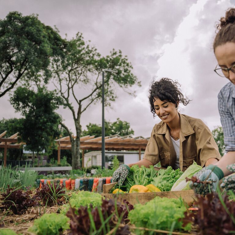 Beyond Bank secures grant from Green Industries SA to build waste management capacity