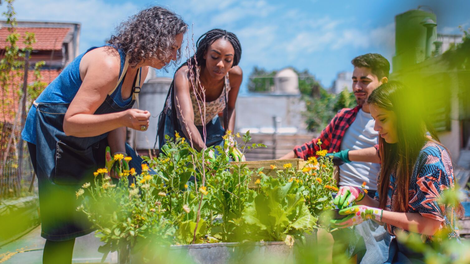 Header image of a group of people in the community participating in group activities