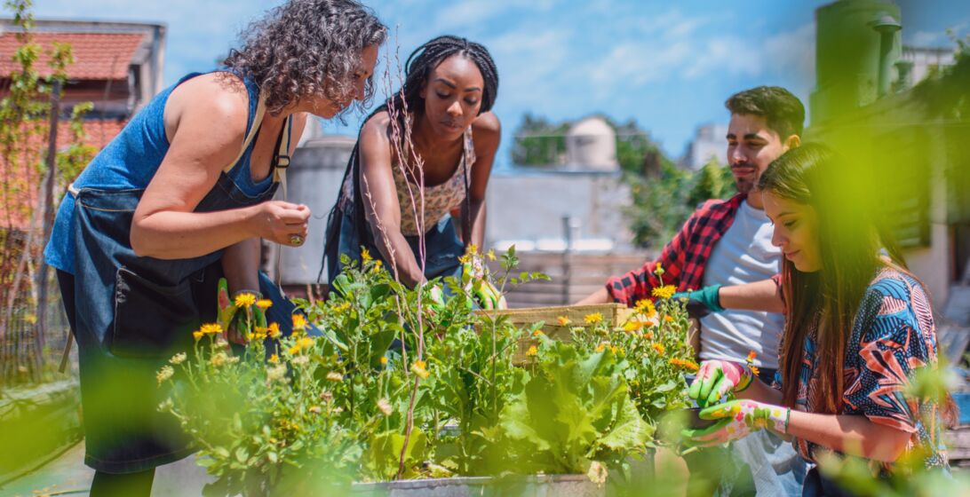 Header image of a group of people in the community participating in group activities