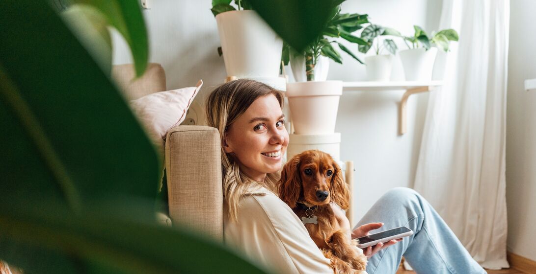 woman, dog, spaniel, red, ginger, home, plants